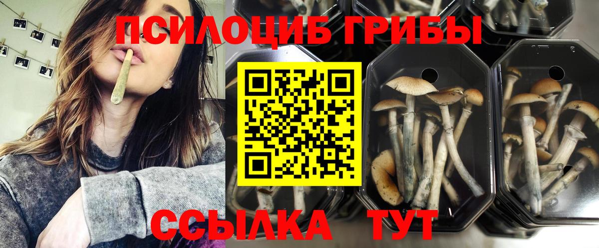 Псилоцибиновые грибы MAGIC MUSHROOMS  Вход с VPN  Строитель  Галлюциногенные грибы Magic Shrooms 